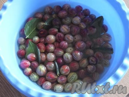 Водой с листочками (не охлаждённой) сразу залейте подготовленный крыжовник, накройте крышкой и уберите в тёмное место на сутки.