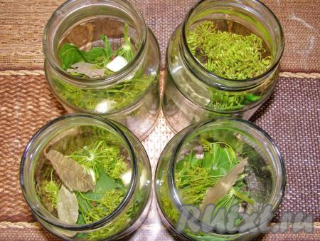 Стерилизуем банки привычным способом. На дно каждой литровой банки выкладываем 3-4 очищенных зубчика чеснока, 2-3 вишнёвых листочка, 2-3 чёрносмородиновых листа, кусочек листа хрена, 3-4 лавровых листа, зонтик укропа и горошины душистого перца.