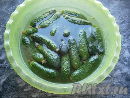 Вымытые огурцы на 2-3 часа замочить в холодной воде.