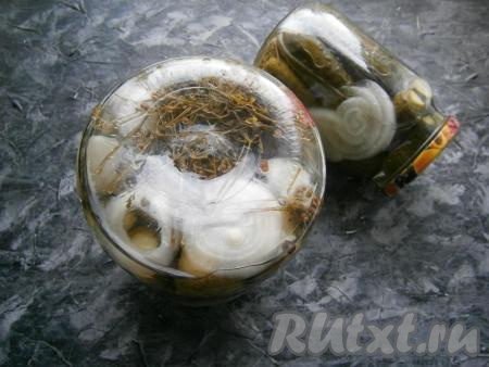 Воду из банок с огурцами и луком слить в раковину и сразу заполнить банки до горлышка горячим маринадом, закрутить крышками, затем перевернуть вверх дном.