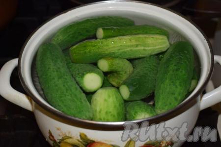Ставим на огонь большую кастрюлю с водой и доводим воду до кипения. В кипящую воду выкладываем огурцы (огурчики должны быть полностью покрыты водой) и варим их до закипания.