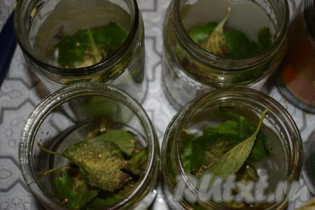 Раскладываем по банкам лавровый лист, сушёный укроп, семена горчицы, гвоздику и чёрный перец горошком.