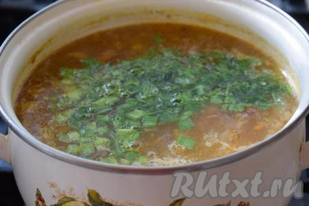 Нарезаем мелко зелень и зелёный лук, кладём в кастрюлю с супом, даём закипеть, выключаем огонь и оставляем настояться под крышкой минут 10-15. Затем разливаем вкуснейший, прозрачный суп из индейки по тарелкам и подаём к столу.