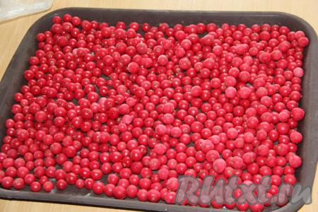 Через 3-5 часов можно доставать поднос и пересыпать замороженные ягоды в пакет, закрыть (завязать) пакет и отправить в морозилку.