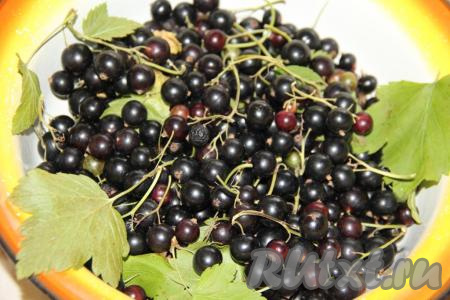 Свежую смородину перебрать, удаляя испорченные ягодки, листочки и веточки. Вес перебранных ягод должен быть 1 килограмм.