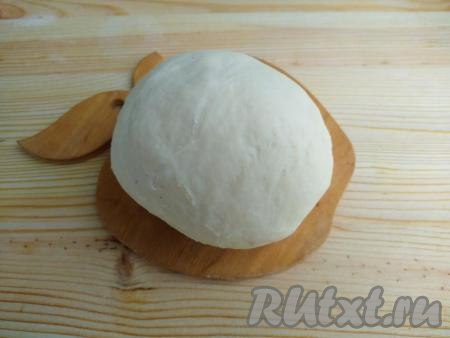 Тесто скатать в колобок, оставить под плёнкой на 10 минут при комнатной температуре.