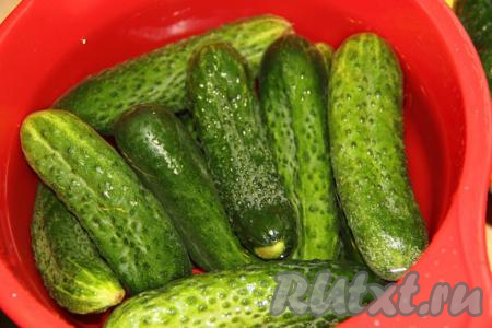 Свежие огурчики залить холодной водой и оставить на 3-5 часов (можно оставить в воде на ночь).