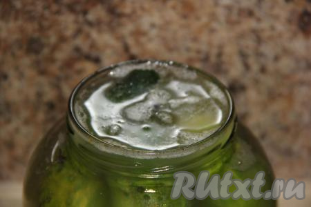 Оставить банки на кухонном столе, прикрыв их блюдечками, на 3 суток. Банки лучше поставить на тарелки, так как во время брожения может потечь соляной раствор. На поверхности воды появится пузырчатая шапочка, её нужно аккуратно снять ложкой.