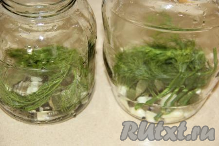 Банки простерилизовать любым способом. На дно банок выложить специи: перец (чёрный и душистый), очищенные зубчики чеснока, лаврушку, листья хрена и смородины, можно добавить веточки укропа.