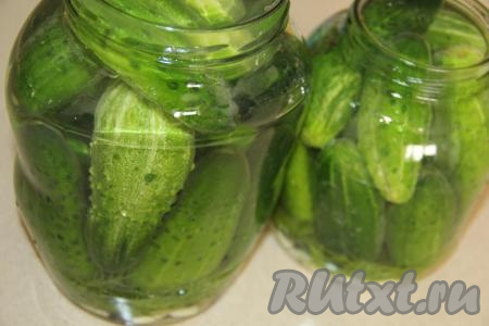 Залить огурцы в банках соляным раствором до края горлышка. Я сделала две порции соляного раствора.