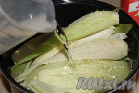 Влить в чашу мультиварки воду.