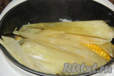 Закрыть крышку мультиварки и выставить режим "Тушение" на 1 час.