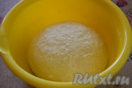 Вымешиваем тесто, примерно, 10 минут, и, по необходимости, добавляем оставшуюся муку. Готовое тесто получается мягким, упругим, оно хорошо держит форму и не липнет к рукам. Накрываем миску с тестом плёнкой и оставляем в тёплом месте на расстойку на 1 час.