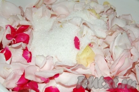Затем собрать лепестки роз в таз, в котором будет вариться варенье и пересыпать их половиной количества сахара. Оставить на 6 часов, сверху прикрыть полотенцем.