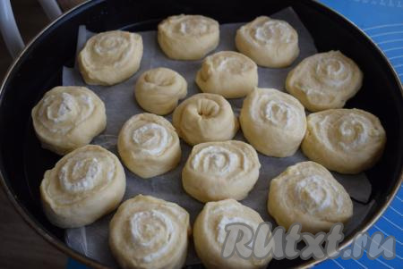 Форму (или противень) застилаем пергаментом и аккуратно выкладываем на него наши булочки срезом вверх, оставляя между булочками расстояние, так как в процессе расстойки они будут увеличиваться в размерах.