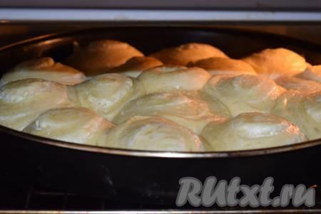 Подошедшие булочки отправляем в разогретую духовку и выпекаем при температуре 180 градусов, примерно, 35 минут.