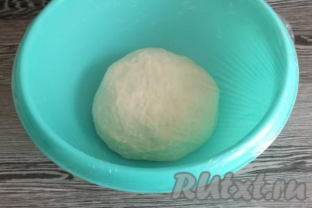 В результате должно получиться мягкое, упругое, не липнущее к рукам тесто. Миску смажьте тонким слоем растительного масла, выложите в неё округлённое тесто. Затяните миску пищевой плёнкой и оставьте в тёплом месте без сквозняков на 1 час.