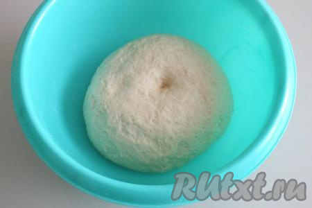 Налейте на ладони 2 столовые ложки масла и вымесите тесто до однородного состояния. Тесто должно получиться мягким, податливым, как бы влажным, но не липнущим к рукам. Округлите тесто, поместите в миску. Затяните миску пищевой плёнкой (или накройте полотенцем) и поставьте на 1 час в тёплое место без сквозняков.