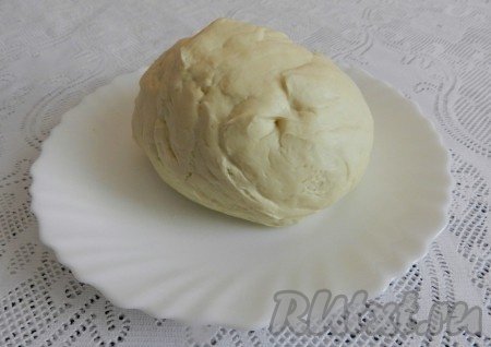 В тёплую воду (температура воды не должна быть выше 40 градусов) всыпать дрожжи, соль, сахар и влить растительное масло, перемешать ложкой. Всыпать часть муки, перемешать. Начать понемногу добавлять оставшуюся муку, тщательно вмешивая её. Когда тесто станет собираться в ком, начать вымешивать тесто руками. Вымешивать нужно не менее 5-7 минут. Добавляя муку, учитывайте, что тесто должно получиться мягким, не липнущим к рукам. Миску с тестом прикрыть полотенцем и убрать в тёплое место минут на 40.