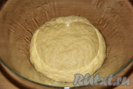 Тесто вымешивать в течение 10 минут, оно станет пластичным, мягким и нежным. Поместить тесто в миску, накрыть полотенцем, чтобы тесто не заветривалось, и на часа 1,5 поставить его в тёплое место. Тесто поднимется, увеличится в объёме в 2-3 раза.