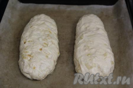 Переложить обе заготовки чиабатты с луком на противень, застеленный пергаментом (или тефлоновым ковриком), на расстоянии друг от друга и оставить на 1 час в тепле. Я поставила в духовку на режим "Лампочка".