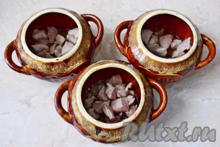 Обжаренное мясо разложите в керамические горшочки для запекания. Дополнительно смазывать горшочки&nbsp;ничем не надо. Немного подсолите мясо и добавьте специи.