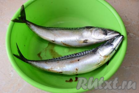 Первым делом подготовьте скумбрию. Замороженную рыбу необходимо разморозить при комнатной температуре.