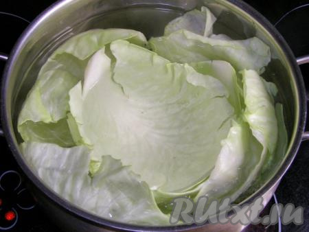 Берём достаточно объёмную кастрюлю, доводим в ней до кипения 2-3 литра воды, добавляем 1-1,5 чайные ложки соли. Опускаем капустные листья в кипящую воду. Варим на сильном огне, примерно, 5 минут. Затем воду сливаем, листья откидываем на дуршлаг и оставляем остыть.
