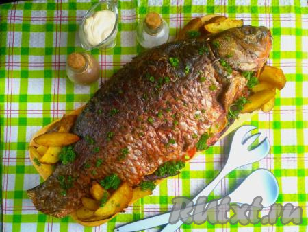 Запечённого целого карпа с осторожностью с помощью 2 лопаток переложить на дощечку для подачи. Около рыбы разложить ароматные&nbsp;золотистые дольки картофеля, украсить зеленью и подать к столу. У рыбки получились румяная корочка и нежная мякоть, а картошка стала очень аппетитной. Запеките в духовке карпа целиком с картошкой - это очень вкусно! 