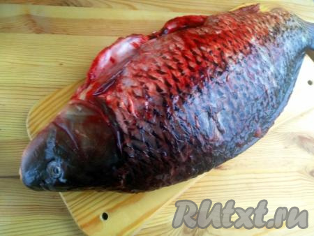 У рыбы отрезать плавники и хвост, удалить жабры и все внутренности.