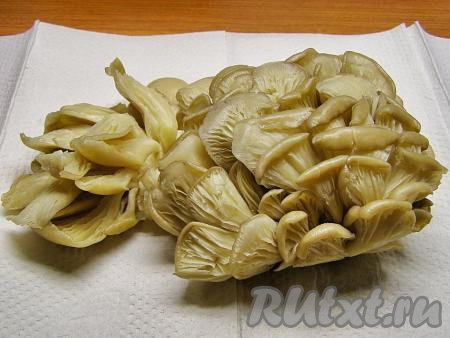 Вешенки моем в прохладной воде, при необходимости, очищаем от загрязнений и кладём на бумажную салфетку, чтобы избавиться от воды.