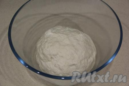 В активировавшуюся дрожжевую смесь всыпать соль и муку, добавить растительное масло. Замесить нежное и эластичное тесто. Вымешивать тесто минут 10. Затем оставить тесто в миске, накрыв пищевой плёнкой, минут на 45 в тёплом месте.