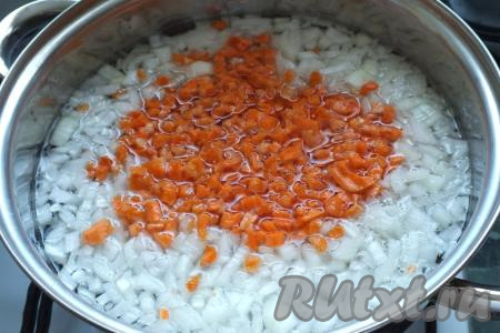 В кастрюле вскипятите 2-2,5 литра воды, добавьте кубики моркови, по желанию, сюда же выложите мелко нарезанный лук, снова доведите до кипения, а затем варите на небольшом огне минут 5-7.
