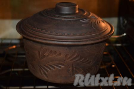 Накрываем горшочек крышкой и отправляем в холодную духовку, чтобы горшочек не лопнул. Запекаем индейку с картошкой в горшочке при температуре 190 градусов, примерно, 50 минут.