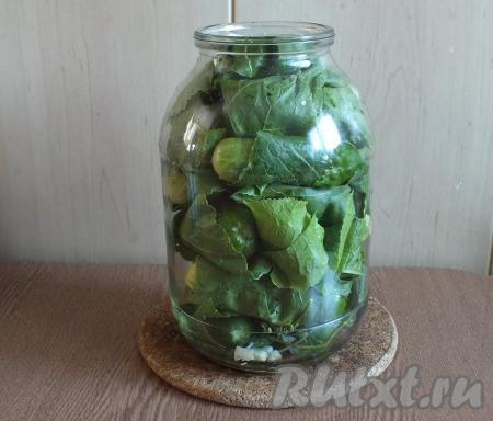 Завёрнутые&nbsp;огурцы&nbsp;сразу же плотно укладывайте в подготовленную банку.&nbsp;