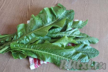 Листья хрена переберите, удаляя порченые, затем обмойте.