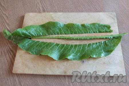 У каждого листа хрена вырежьте жёсткую "прожилку", находящуюся по середине&nbsp;листа. У вас получатся две "ленточки".
