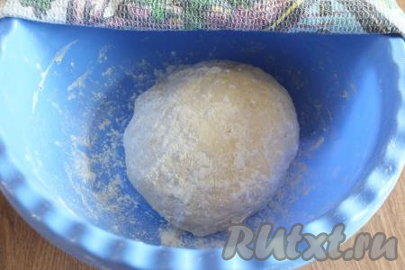 Тесто должно получиться однородным, мягким, незначительно прилипающим к рукам, округлите его, выложите в миску и, прикрыв полотенцем, оставьте на 1 час при комнатной температуре.