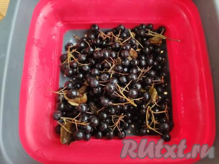Ягоды черноплодной рябины выложить в дуршлаг, промыть в проточной воде. Удалить веточки, листья и повреждённые ягодки.