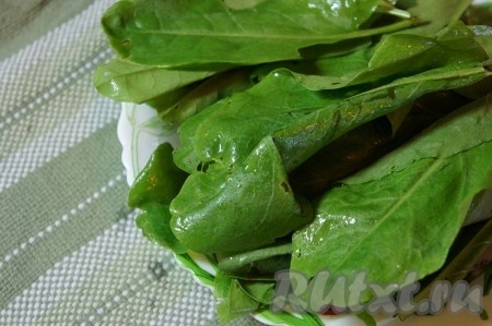 Щавель промыть, удалить жесткие стебли.
