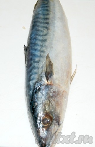 Приготовить скумбрию. 