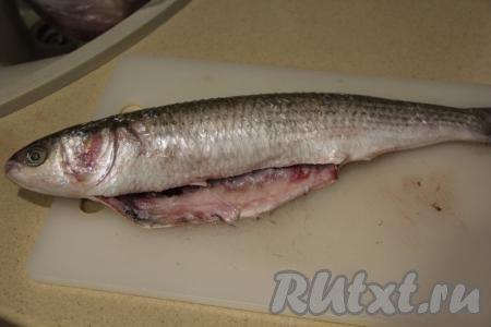 Кефаль очистить от чешуи, удалить внутренности, плавники и тщательно промыть рыбу водой. Обсушить рыбку бумажными полотенцами.&nbsp;