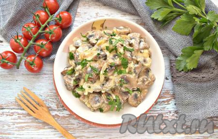 Сытная горячая закуска из тушёных шампиньонов в сметане с сыром и луком готова. Подаём её сразу к столу. По вкусу блюдо напоминает жульен.