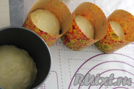 Распределить тесто по формам для куличей, заполняя формы до половины объёма. Накрыть формы с тестом полотенцем и оставить на 35-45 минут в тепле.