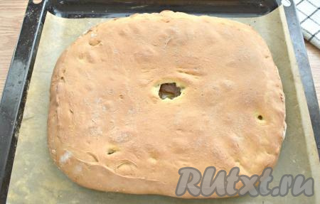 Ставим противень с пирогом в разогретую до 180 градусов духовку на 50 минут. Минут за 15 до окончания выпечки рекомендую накрыть верх пирога пекарской бумагой, чтобы выпечка не подгорела.