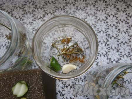 В каждую простерилизованную пол-литровую баночку выложить зонтик укропа, кусочек горького перца и очищенный зубчик чеснока.