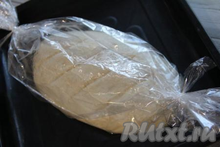 Поставить хлеб в рукаве для запекания в разогретую духовку и выпекать при температуре 200 градусов минут 25-30. 