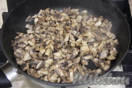 Обжарить грибы в течение 15 минут, иногда помешивая, на среднем огне. В конце жарки посолить. Снять с огня, дать остыть.