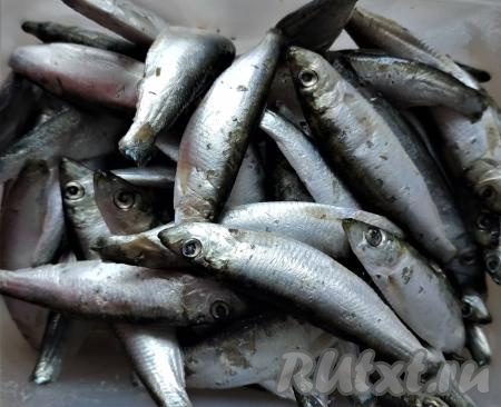 Размораживаем кильку. Затем промываем и откидываем на дуршлаг, чтобы стекла вся лишняя вода. Кильку чистить не нужно, мы её жарим целиком.