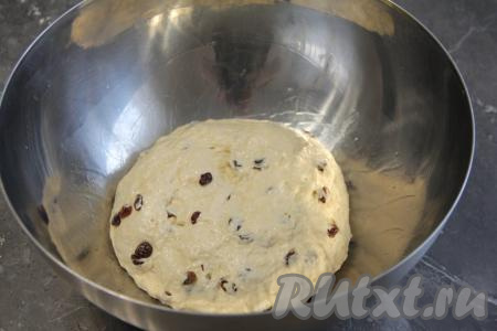 Подмешать изюм в тесто, сформировать колобок и выложить в миску, смазанную растительным маслом.
